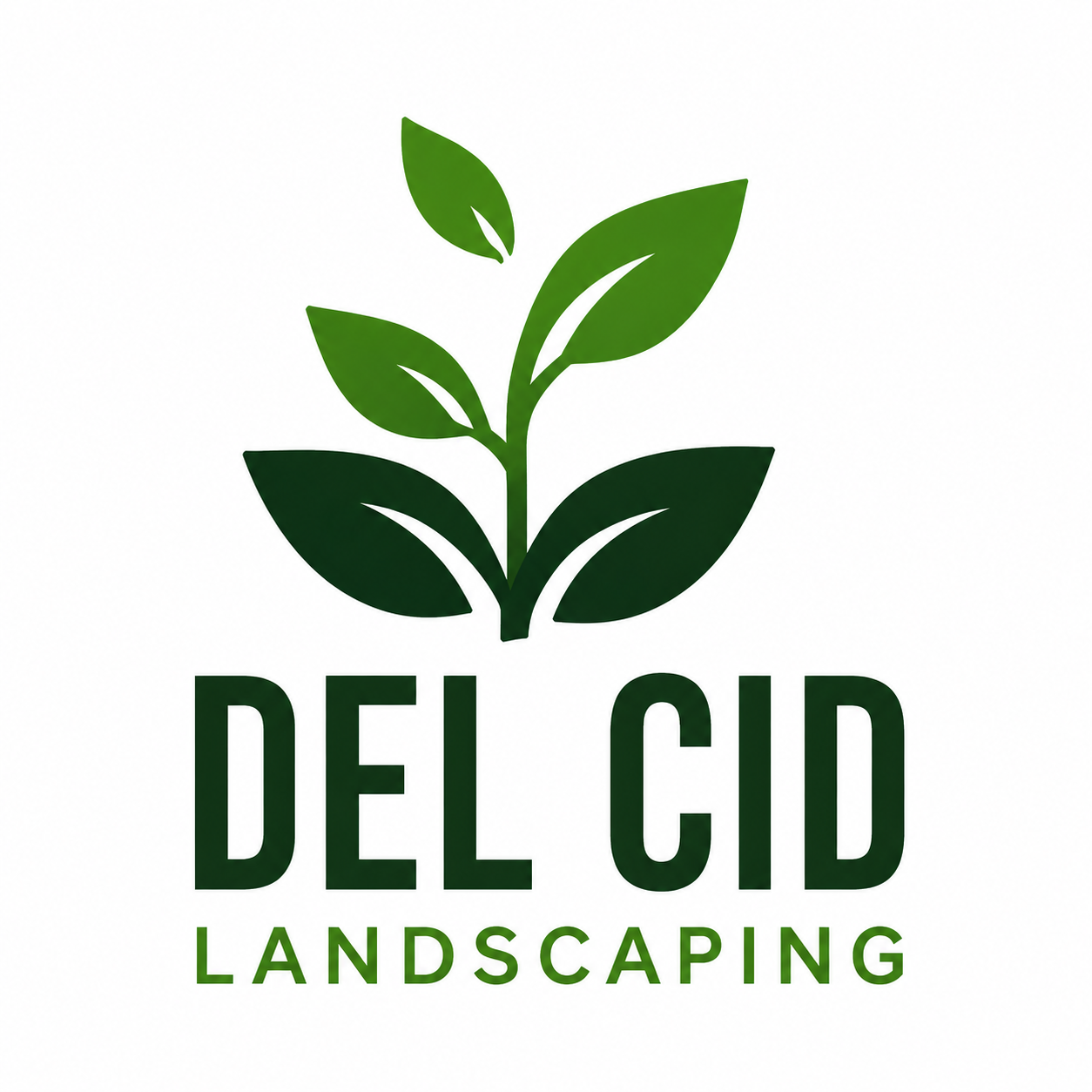 CEV Launch client logo